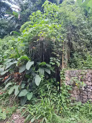 Lot for Sale — Commercial Lot in Cebu City, Cebu, Philippines — Photo 2