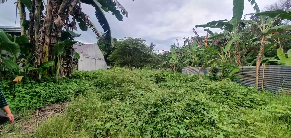 Residential Lot in Marbel near Bedrock Garden Resort - photo 2