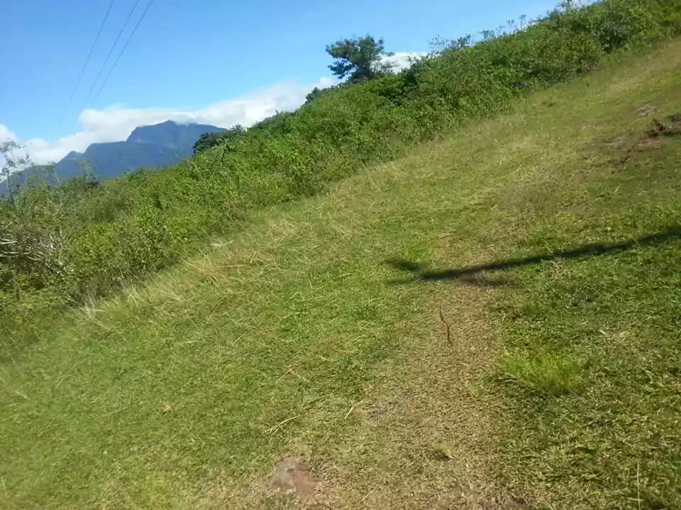 Lot For Sale — Agricultural Lot in Sibulan, Oriental Negros, Philippines — Photo 6
