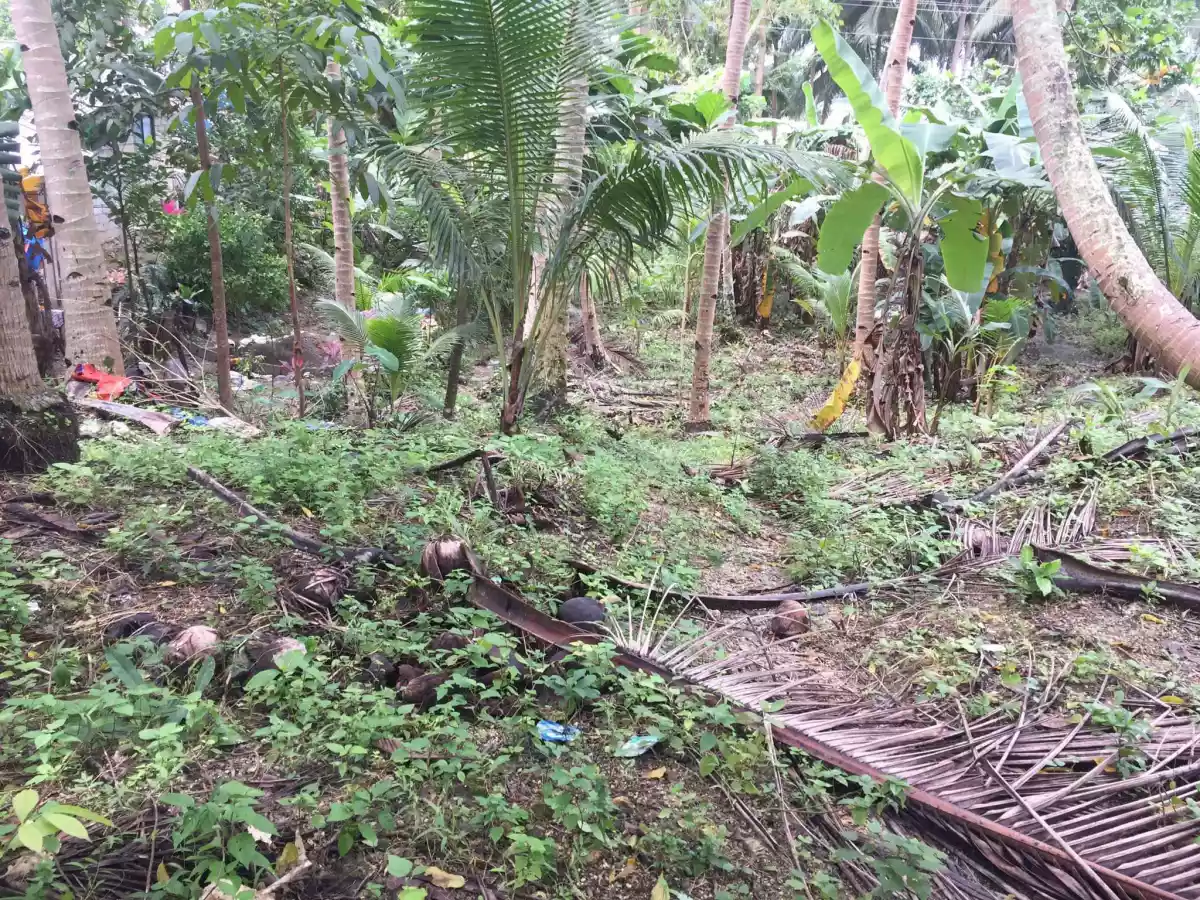 Residential Lot For Sale — Residential Lot in Asturias, Cebu, Philippines — Photo 3