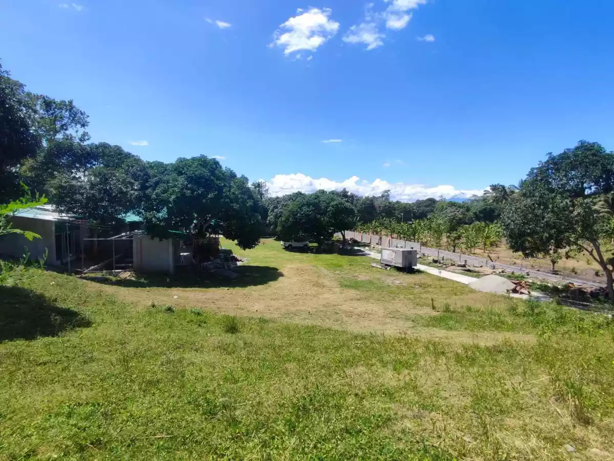 LOT FOR SALE - photo 6