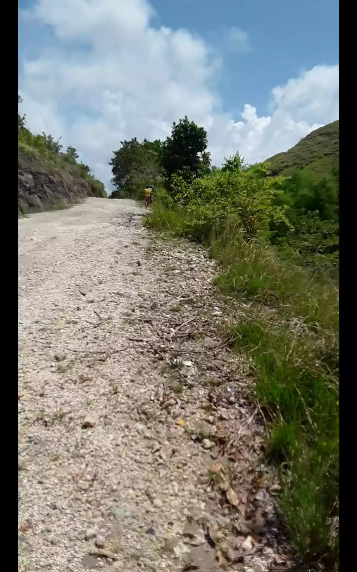 Farm lot for sale — Agricultural Lot in Guindulman, Bohol, Philippines — Photo 2