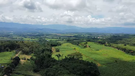 1.4 Hectare Farm Lot for Sale in Malaybalay city, Bukidnon — Agricultural Lot in Malaybalay, Bukidnon, Philippines — Photo 5
