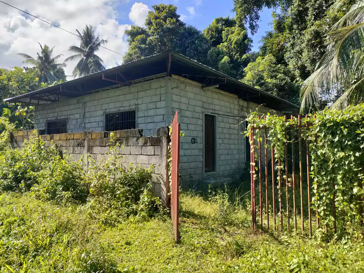 Unfinished House & Lot for Sale in Bong-ao, Valencia - photo 2