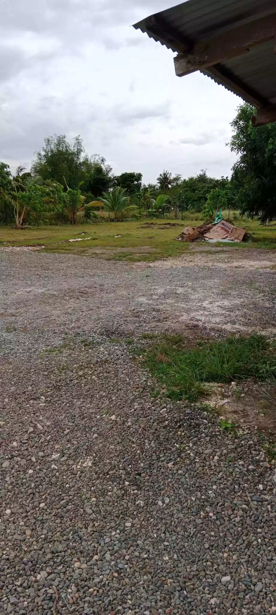 Land for Sale - Basdiot, Moalboal — Commercial Lot in Barangay Bugas, Moalboal, Cebu — Photo 2