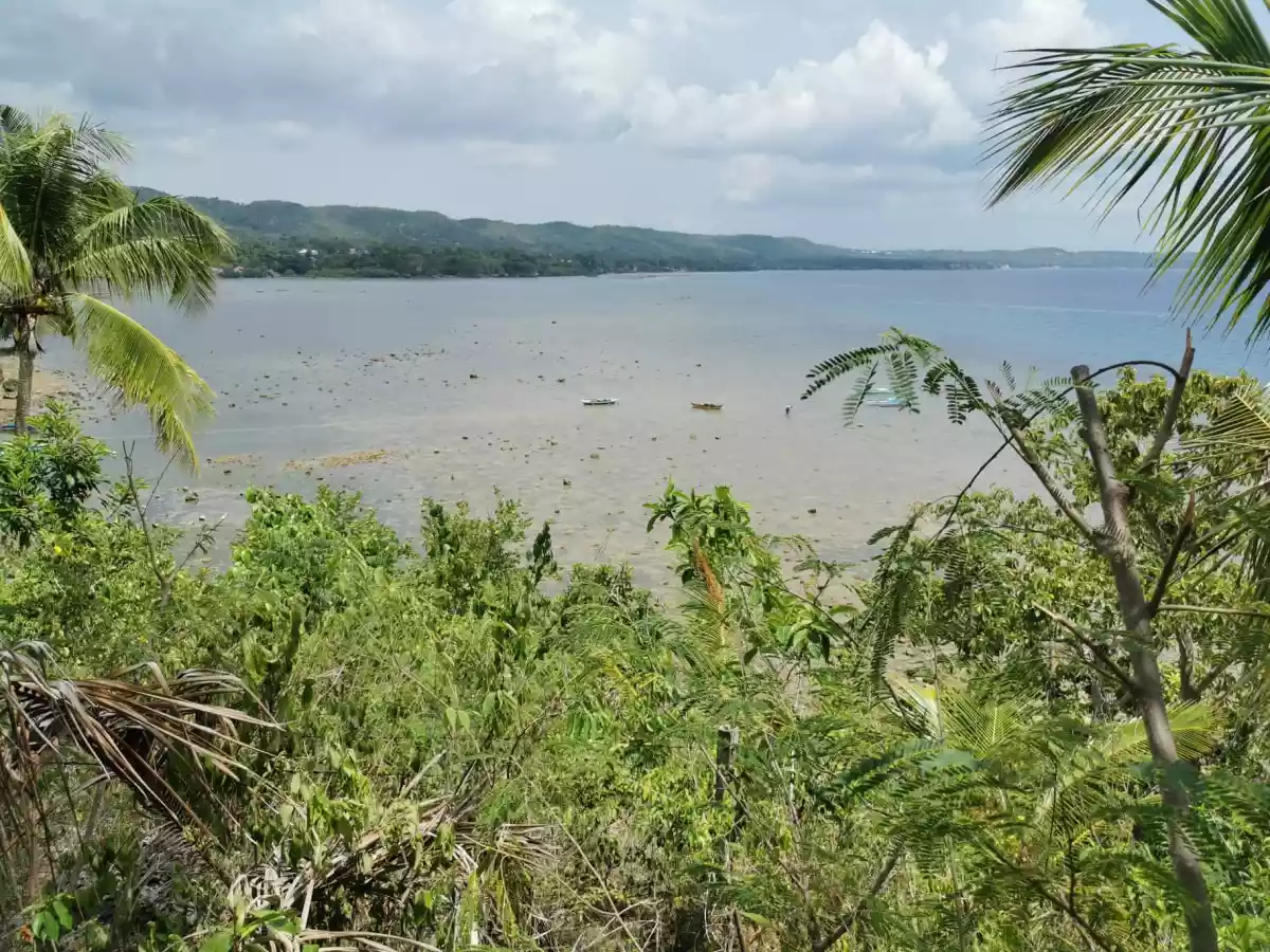 Beach Lot in Tabogon Cebu - photo 4