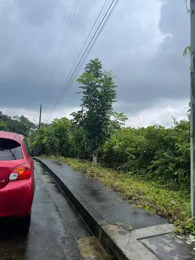 Lot with mountain view in Casili — Residential Lot in Greenville Street, Upper Casili, Consolacion — Photo 6