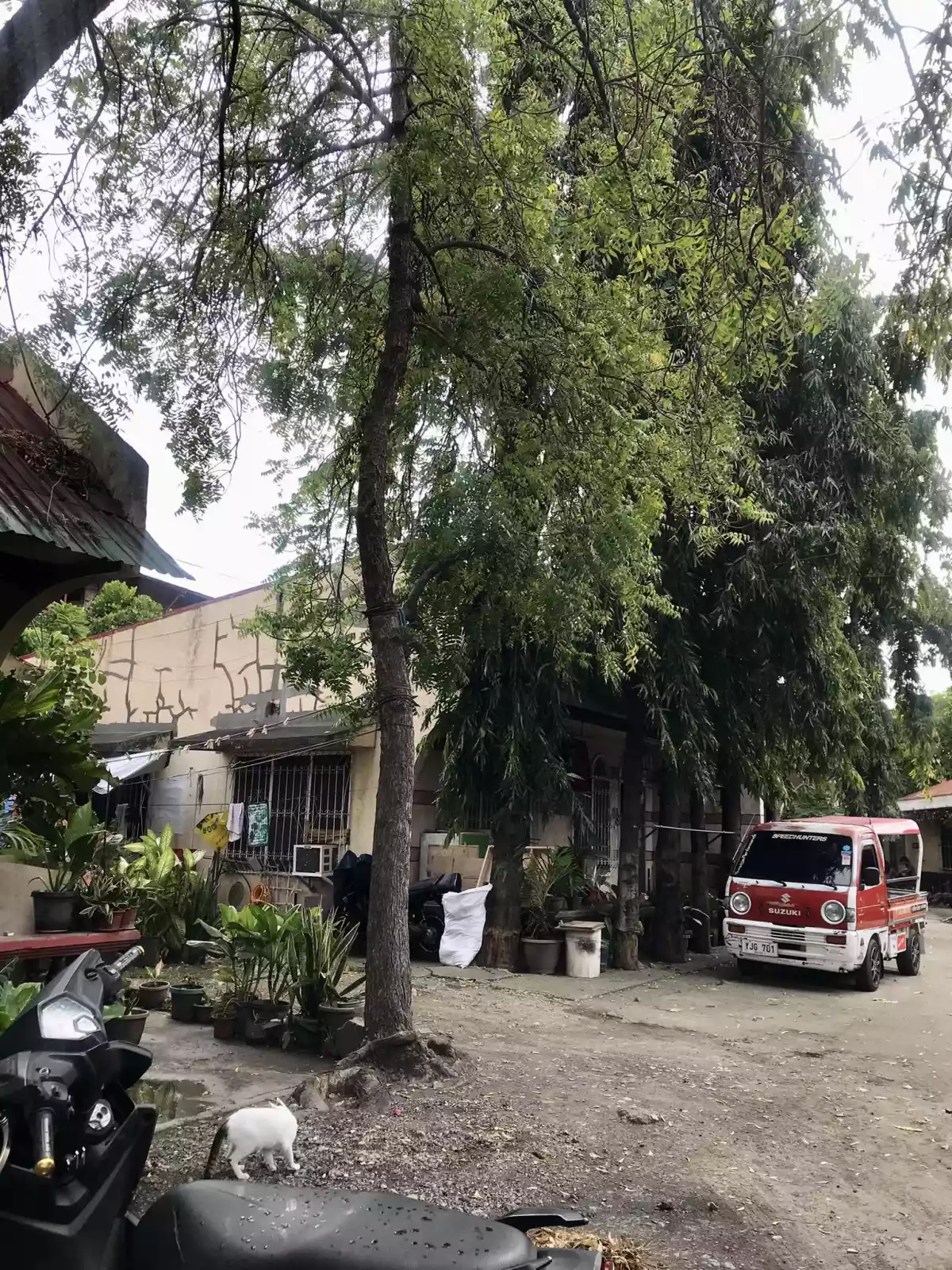 For Sale/Rent: Entire Apartment Complex in Pusok, Lapu-Lapu City! — Apartment in Lapu-Lapu City, Cebu, Philippines — Photo 3