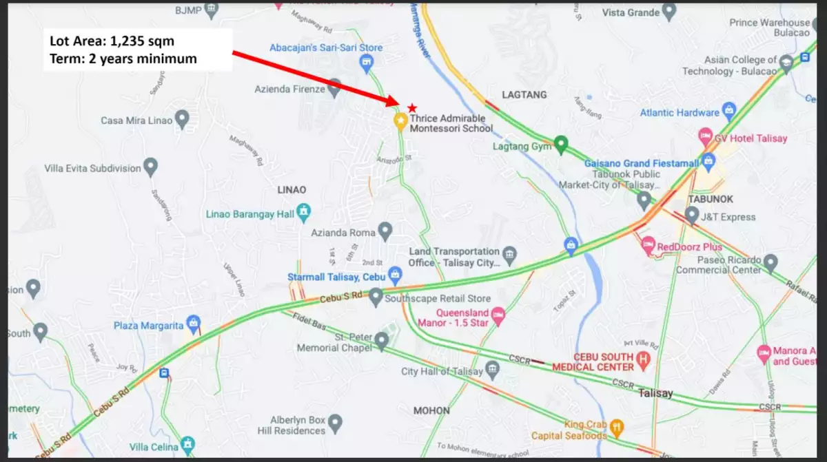 FOR RENT Maghaway Rd, Talisay Lot (surrounded by Residential Communities) - photo 4