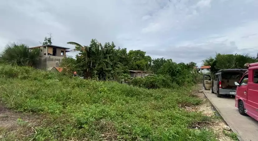 Residential Corner Lot — Residential Lot in Bajac Road, Liloan, Cebu — Photo 4