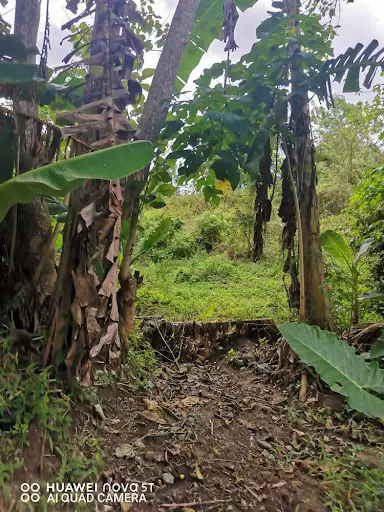 19,982 sqm land in Alabel, Sarangani — Agricultural Lot in Sarangani, Philippines — Photo 5