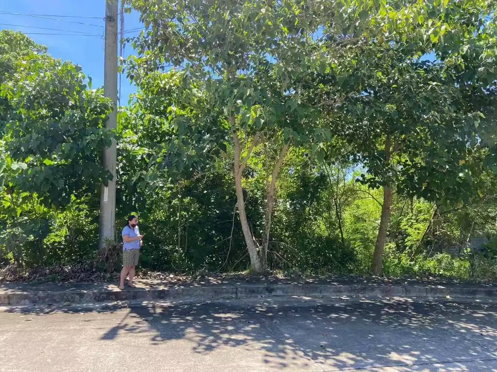 Summerhills Subdivision — Residential Lot in Compostela, Cebu, Philippines — Photo 2