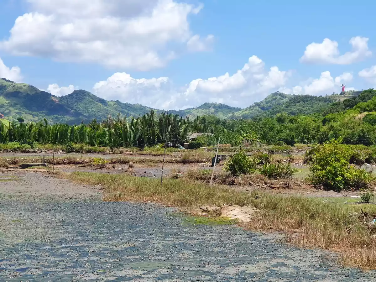 Developers' Pick! Prime Location for Township/Commercial Development in Roxas City