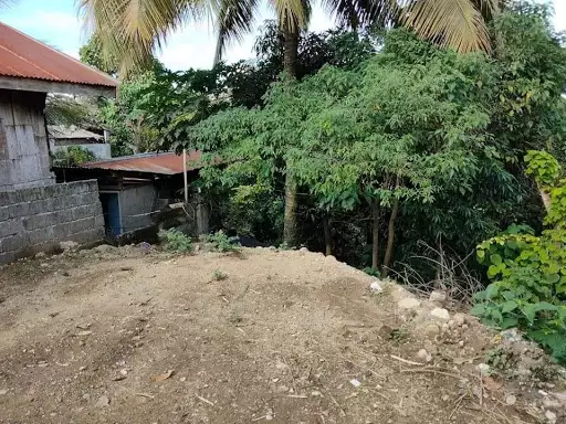 Residential lot for sale — Commercial Lot in Talomo, Davao City, Davao del Sur — Photo 4