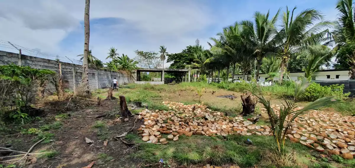 Purok 15 Road Property  - photo 5