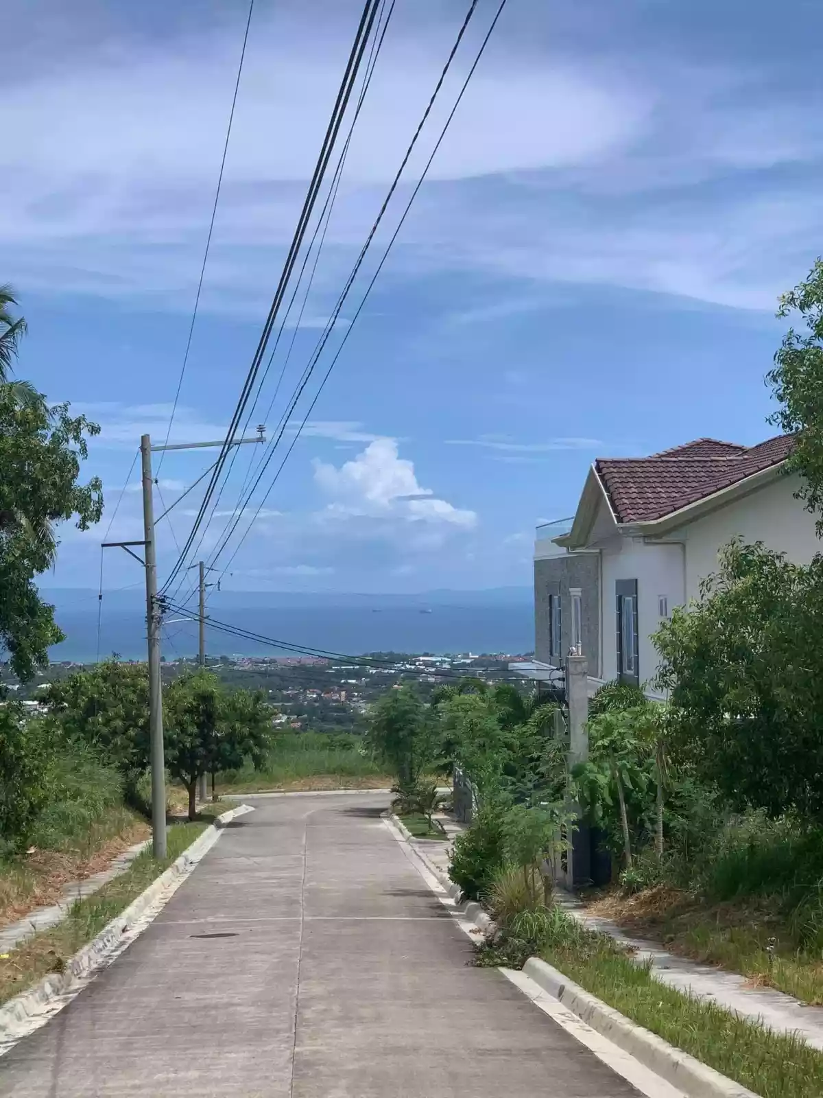 Lot Only for Sale in Kinshanta Subd. Talisay  Cebi - photo 4