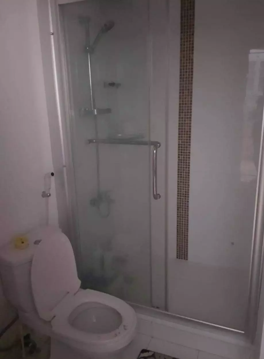 1 BR APPLE ONE UNIT - photo 6