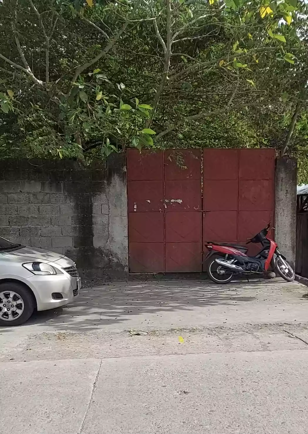 RUSH LOT FOR SALE — Commercial Lot in Negros Oriental, Philippines — Photo 2