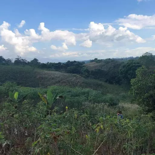 Lot For Sale — Warehouse in Bukidnon, Philippines — Photo 5