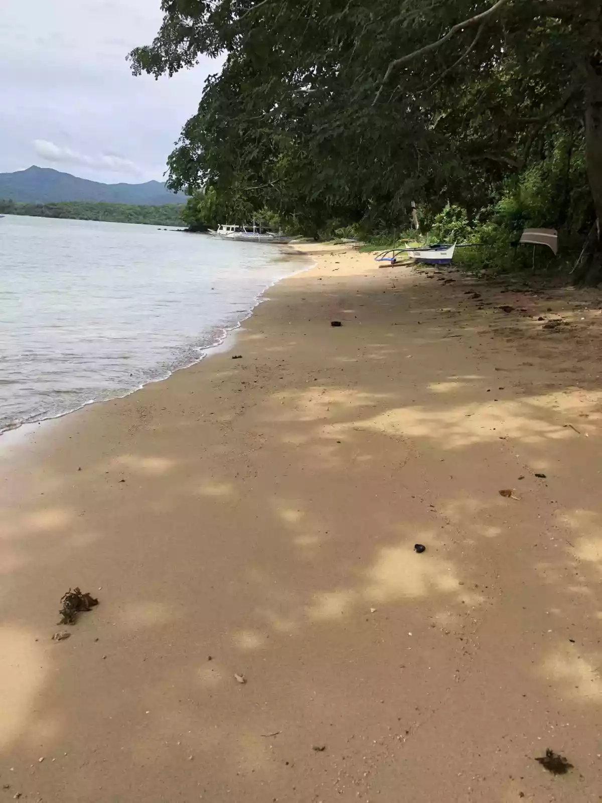 Beachfront Lot for Sale — Beach Lot in El Nido, Palawan, Philippines — Photo 5