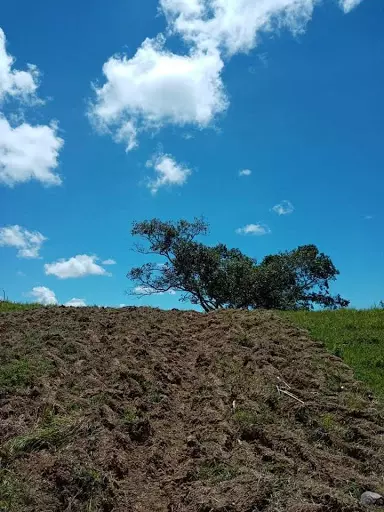 Very rush sale farm lot — Agricultural Lot in Cebu, Philippines — Photo 4