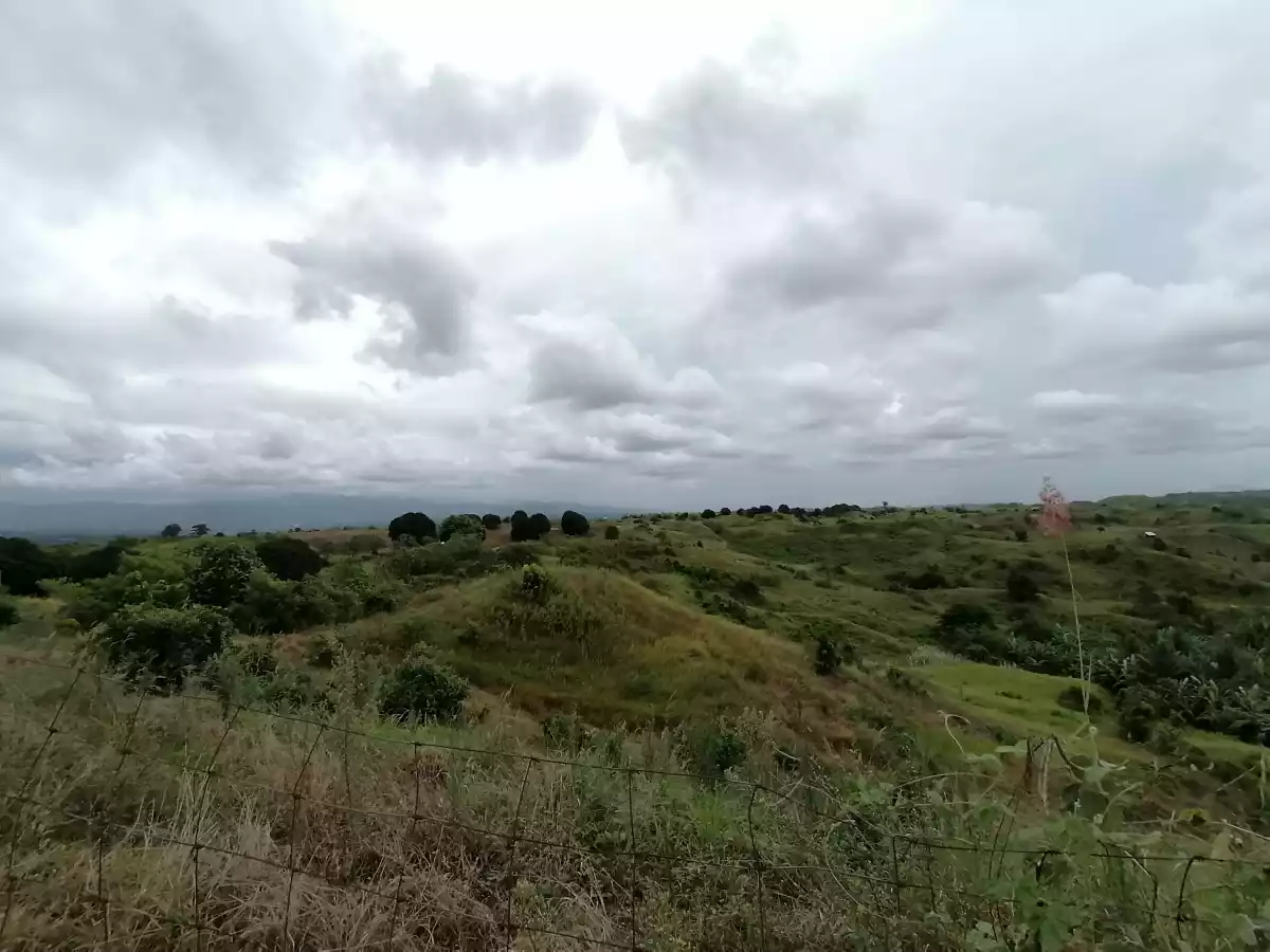 Farm Lots in Tokawal Alabel for Sale — Agricultural Lot in Alabel, Sarangani, Philippines — Photo 5