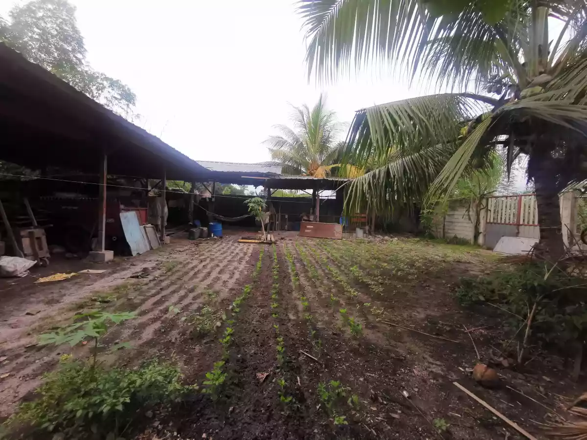 854sqm 2House and Lot Corner Lot Along Highway  - photo 6