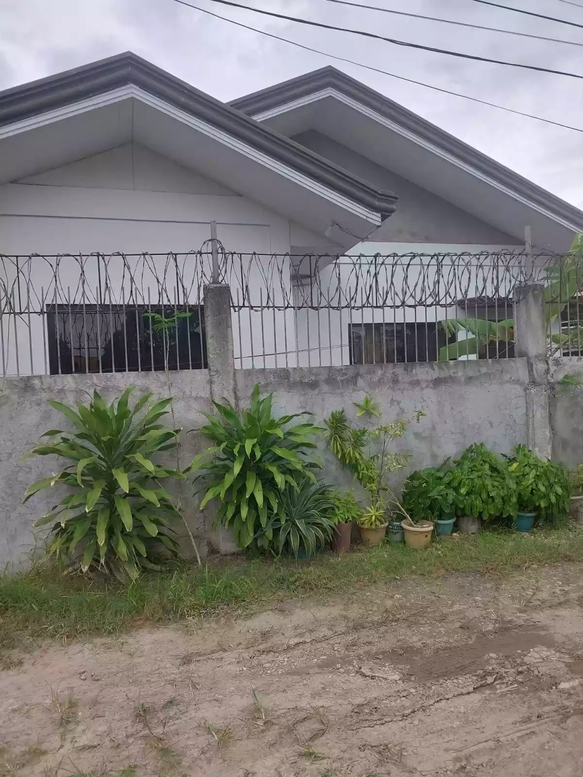 Residential house and lot - photo 3