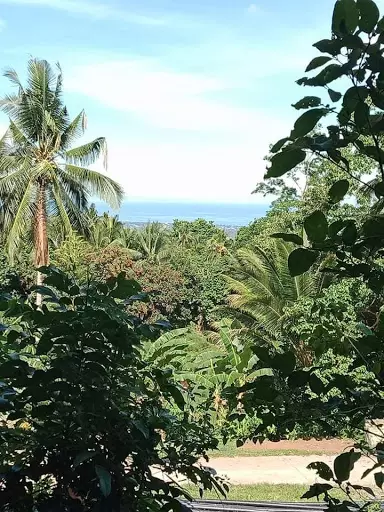 Open photo 16 of 16 — A Parcel of Land