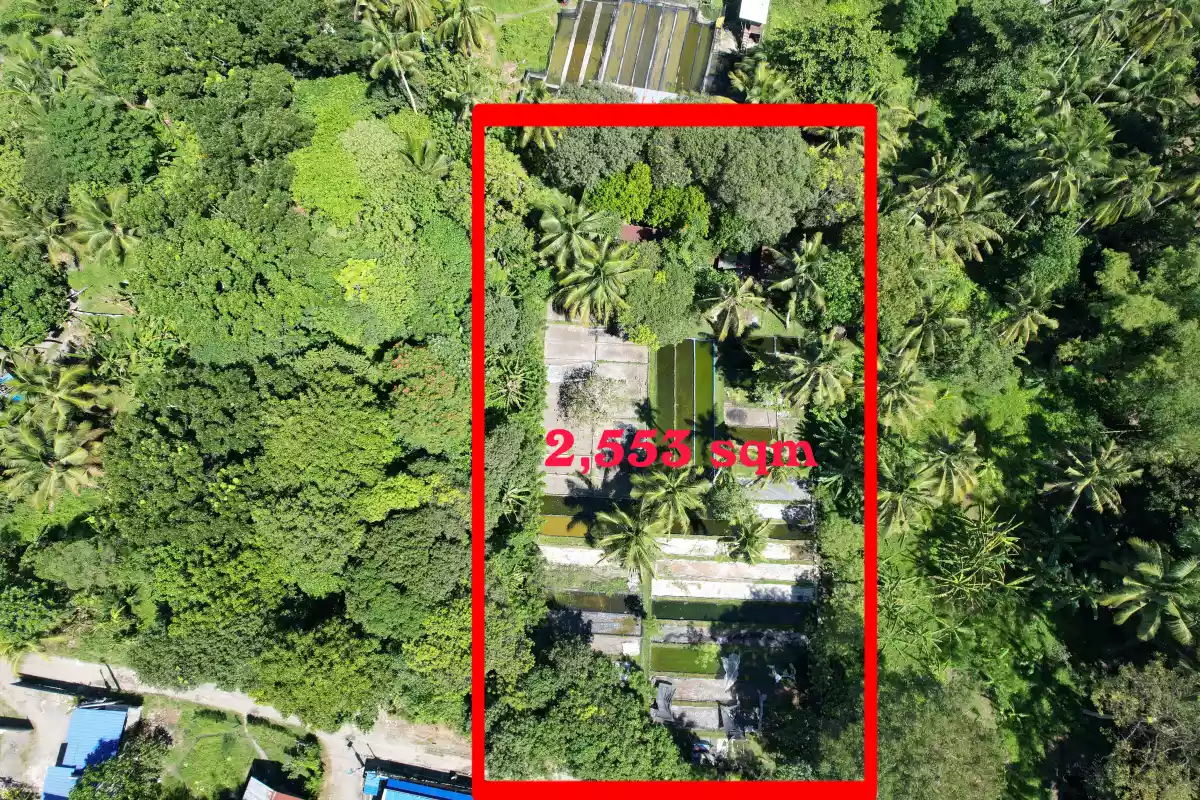 Lot for Sale — Residential Lot in PUROK 17 SAN VICENTE, Panabo, Davao del Norte — Photo 5