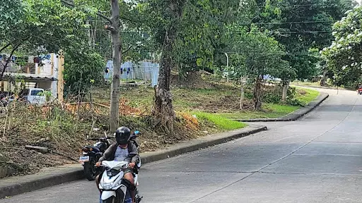 Corner lot for sale in Metropolis Subdivision Phase 2, Bacayan Cebu City