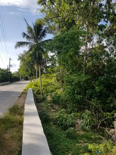 PANGLAO, NAPALING REEF TANGNAN — Residential Lot in napaling drive, Panglao, Bohol — Photo 3