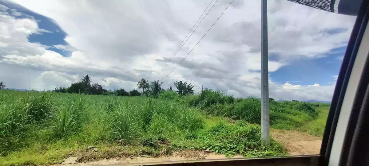 ORMOC CITY LOT FOR SALE — Agricultural Lot in Cabulihan, Ormoc City, Leyte — Photo 5