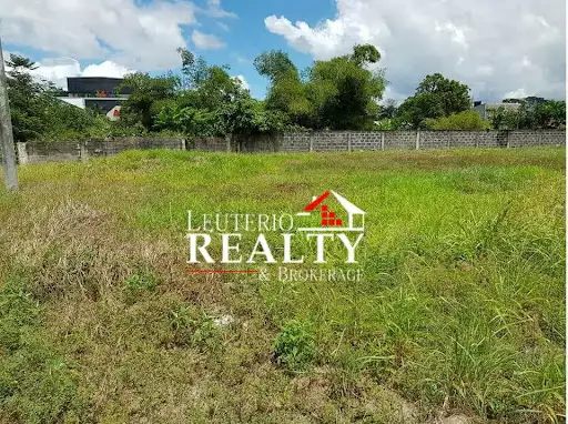 Residential lot For Sale (Corner lot) — Residential Lot in Camarines Sur, Philippines — Photo 4