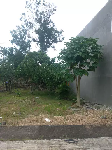 Open photo 14 of 27 — Rush Lot For Sale