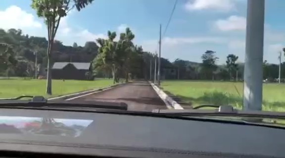 Las Palmas Verdes - photo 2