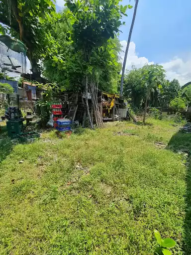 Prime Lot for Sale — Residential Lot in Cebu City, Cebu, Philippines — Photo 6