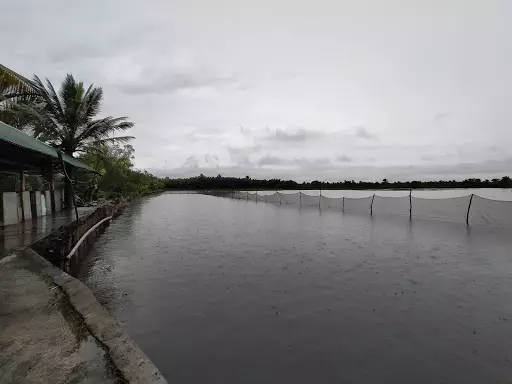 Fishpond with Building — Agricultural Lot in Magallanes, Agusan Del Norte, Philippines — Photo 5