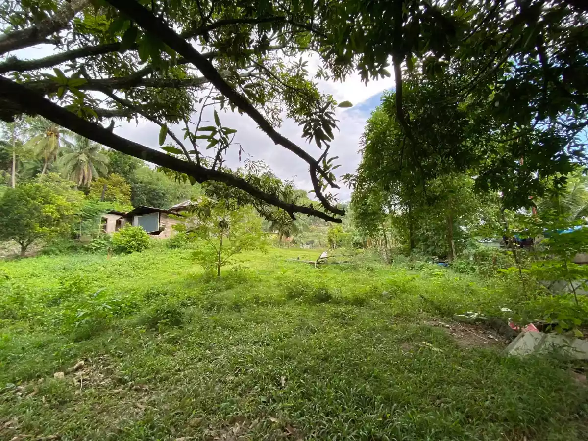 Tunghaan Minglanilla Cebu Lot — Residential Lot in Lower Tunghaan St, Tunghaan Minglanilla, Minglanilla — Photo 2