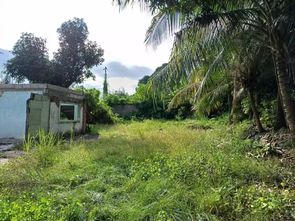 Lots for Sale in Batinguel Dumaguete City — Residential Lot in Dumaguete, Negros Oriental, Philippines — Photo 4