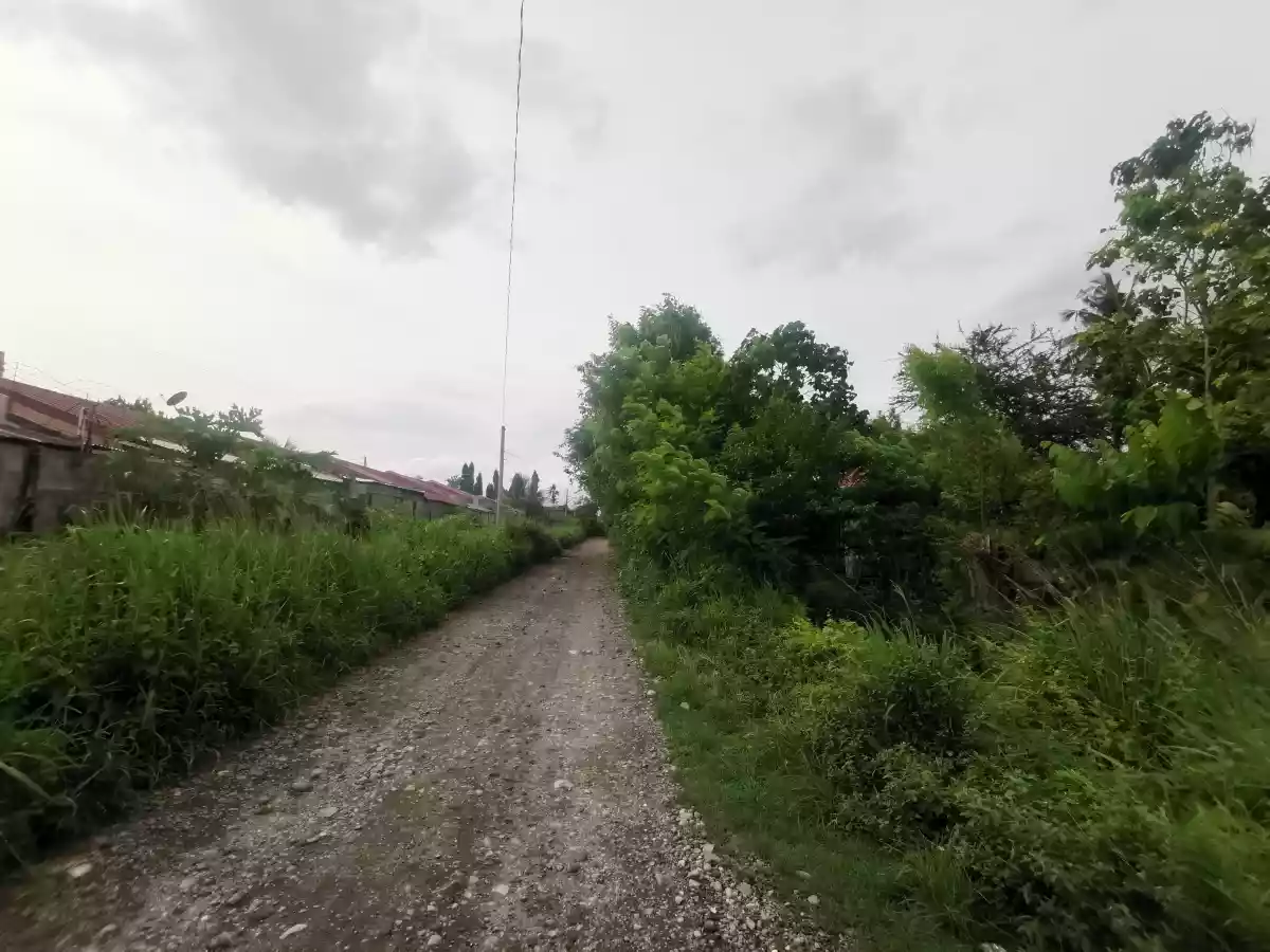 Open photo 19 of 19 — Subdivided Lots at Barangay Ligaya at the back of Agan Ligaya Subdivision and UST Hospital alongside of the proposed CityMall