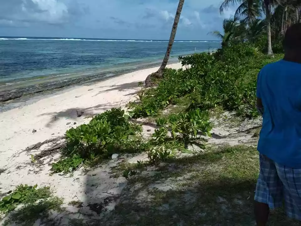 Beach Lot For Sale in Burgos, Siargao Islands - photo 5