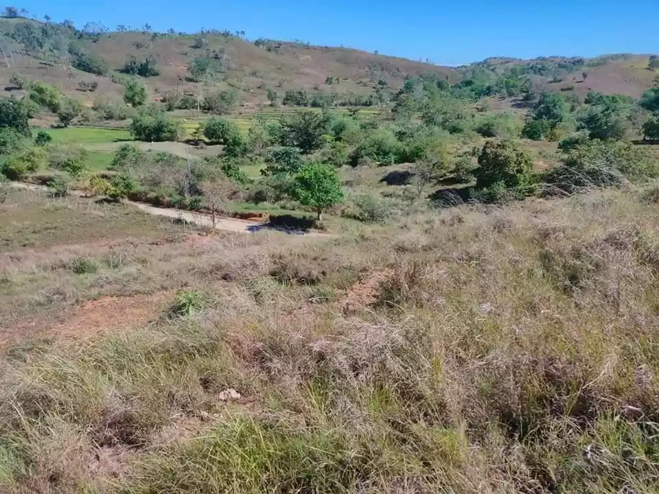 Lot For Sale sa Sual 4 Has - photo 2