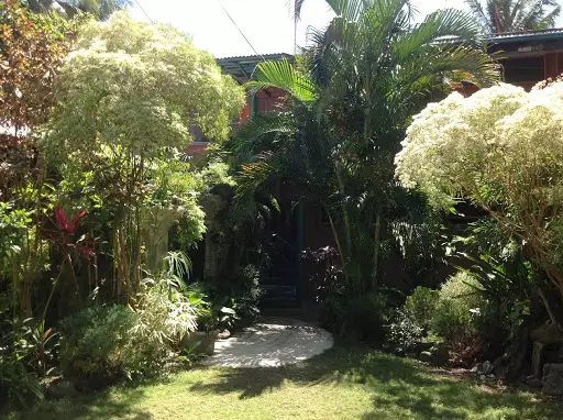 Waterfront Property in Dauin/Dumaguete — Beach Lot in Dumaguete, Negros Oriental, Philippines — Photo 5