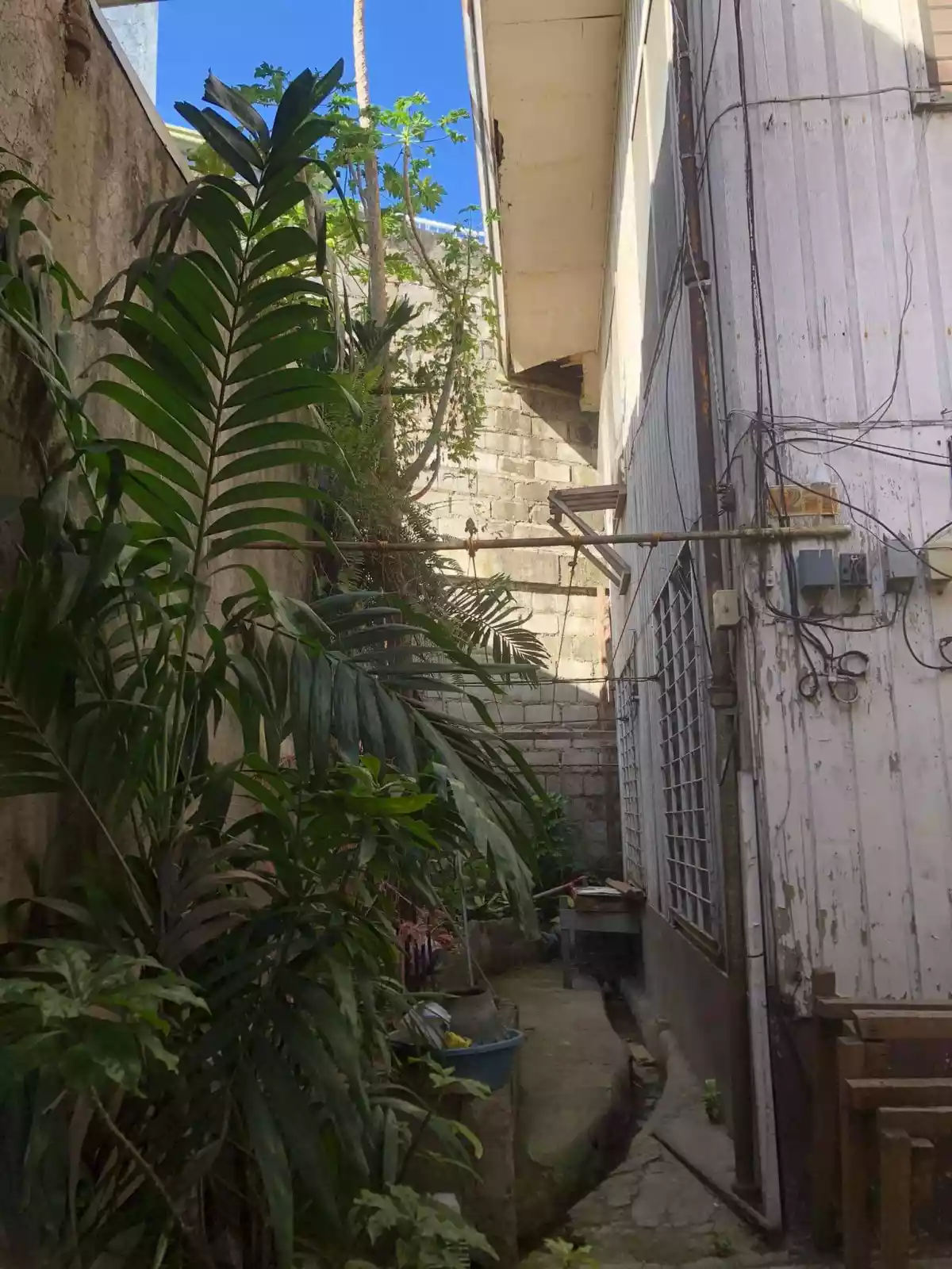 Urgello Lot for Sale — Residential Lot in Cebu City, Cebu, Philippines — Photo 4