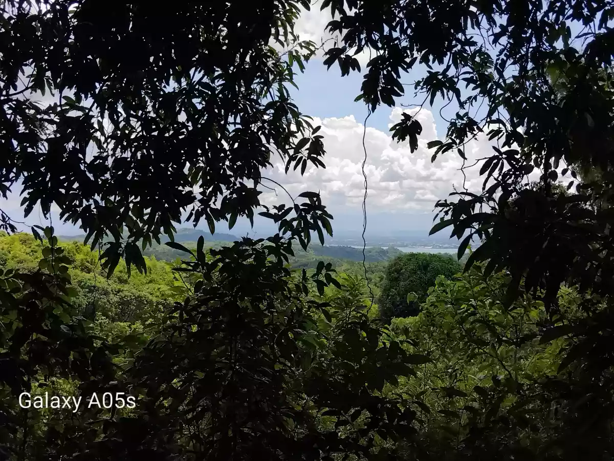 Land For Sale — Agricultural Lot in Guimaras, Philippines — Photo 3