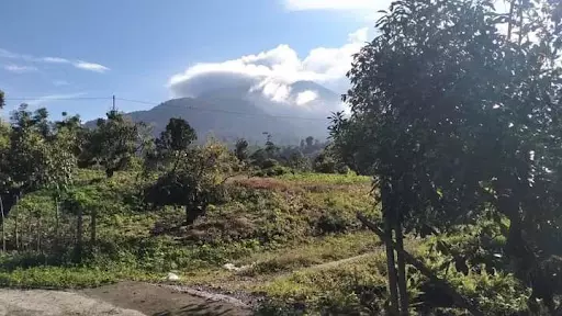 1000 Sq.m lot 