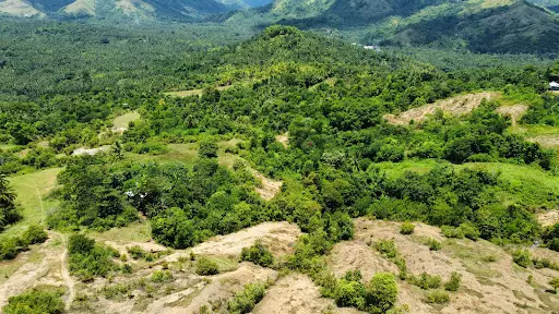 2.9 Hectares Overlooking Farm Lot For Sale in Initao Misamis Oriental
