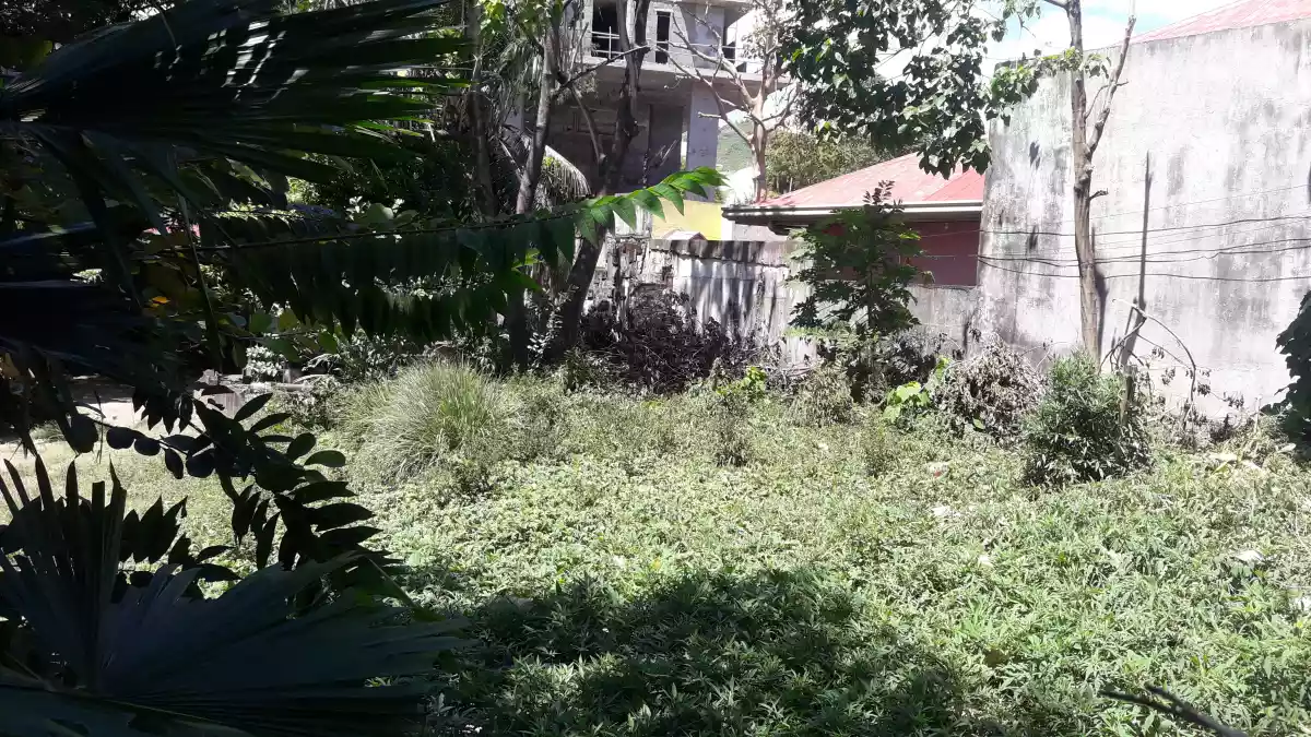 LOT FOR SALE — Commercial Lot — Photo 3