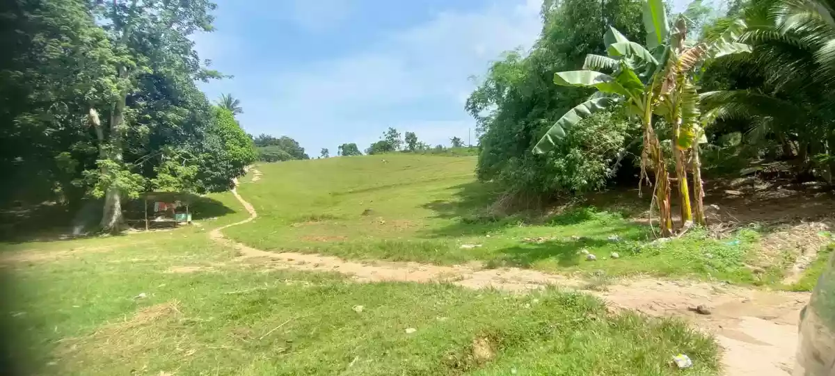 LOT ONLY with BEAUTIFUL VIEW — Agricultural Lot in Cebu, Philippines — Photo 5